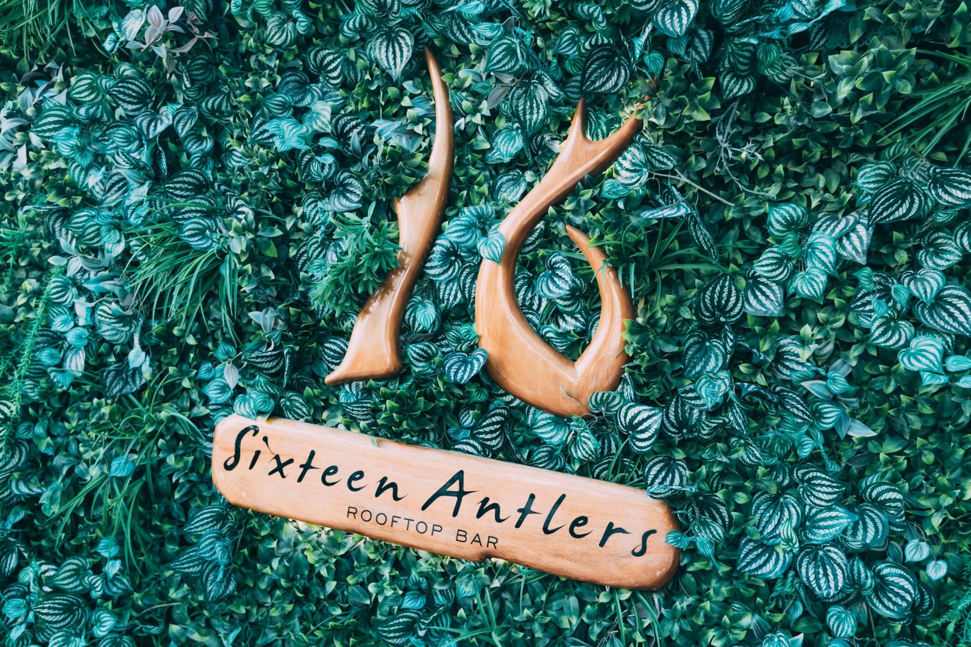 Brisbane Rooftop Bar Brisbane Sixteen Antlers
